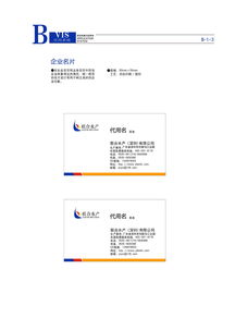 企业形象设计与企业形象策划 品牌成功的双引擎